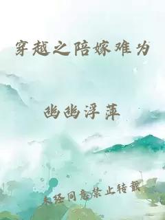 穿越之陪嫁難為