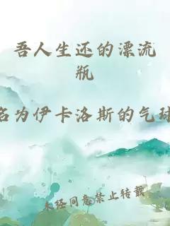 吾人生還的漂流瓶