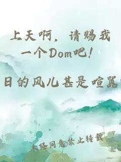 上天啊，請賜我一個Dom吧！