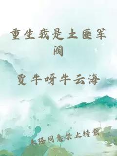 重生我是土匪軍閥