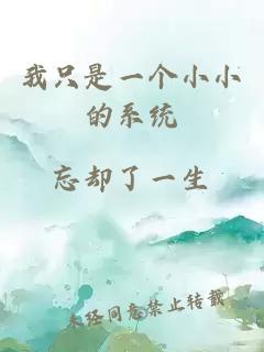 我只是一個小小的系統(tǒng)