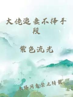 大佬追妻不擇手段