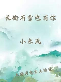 長(zhǎng)街有雪也有你