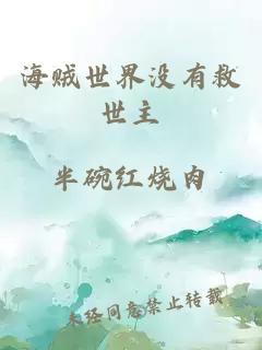 海賊世界沒有救世主