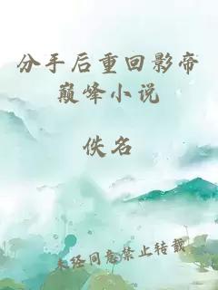 分手后重回影帝巔峰小說