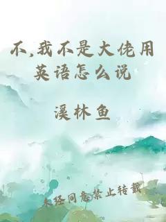 不,我不是大佬用英語怎么說