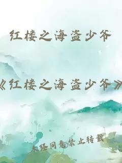 紅樓之海盜少爺
