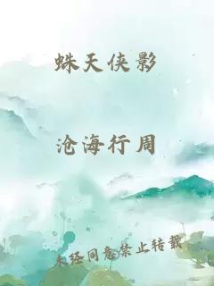 蛛天俠影