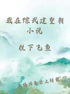 我在綜武建皇朝小說(shuō)