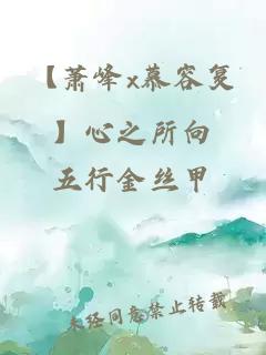 【蕭峰x慕容復(fù)】心之所向