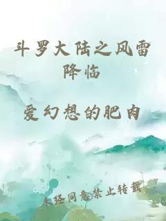 斗羅大陸之風(fēng)雷降臨