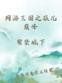 網(wǎng)游三國(guó)之孤兒巔峰