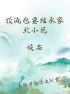 頂流也要繼承家業(yè)小說