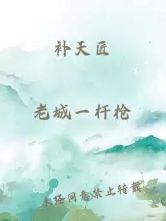 補(bǔ)天匠