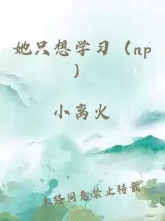 她只想學(xué)習(xí)（np）