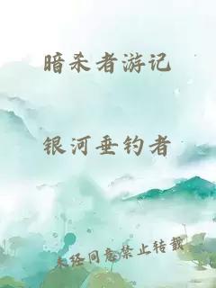 暗殺者游記
