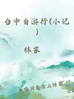 臺中自游行(小記)