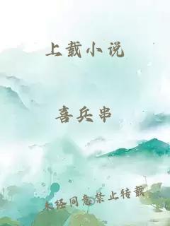 上載小說