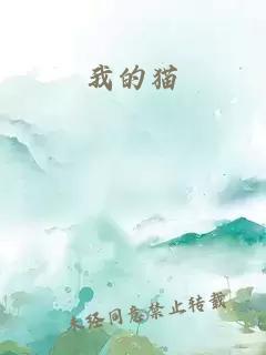 我的貓