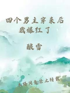 四個男主穿來后我爆紅了