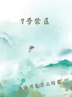 9號(hào)禁區(qū)