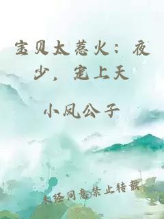 寶貝太惹火：夜少，寵上天
