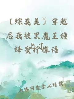 〔綜英美〕穿越后我被黑魔王纏上了