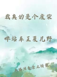 我真的是個(gè)廢柴