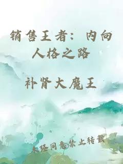 銷售王者：內(nèi)向人格之路
