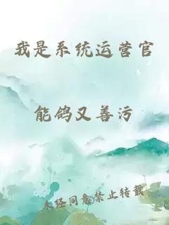 我是系統(tǒng)運營官