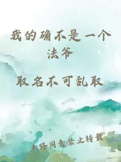 我的確不是一個法爺