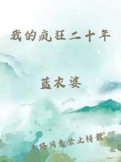 我的瘋狂二十年