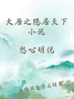大唐之隱居天下小說