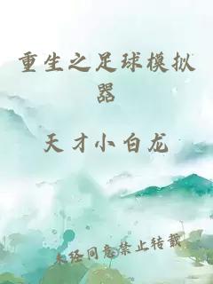 重生之足球模擬器