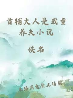 首輔大人是我童養(yǎng)夫小說