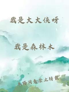 我是大大俠呀