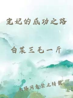 寵妃的成功之路