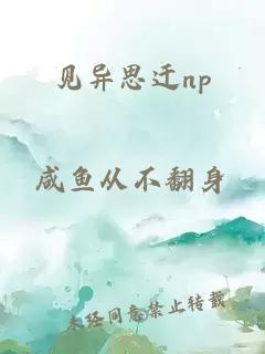 見異思遷np