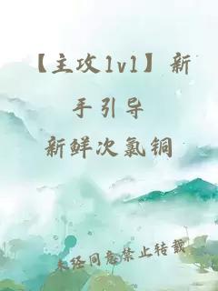 【主攻1v1】新手引導(dǎo)