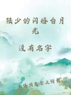 陸少的閃婚白月光