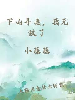下山尋妻，我無(wú)敵了