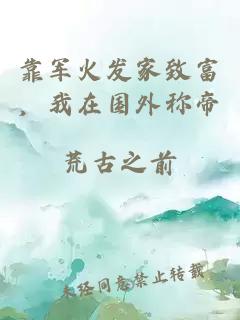 靠軍火發(fā)家致富，我在國外稱帝