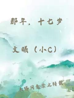 那年，十七歲