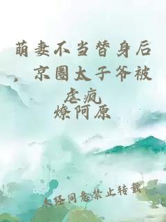 萌妻不當(dāng)替身后，京圈太子爺被虐瘋