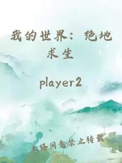 我的世界：絕地求生