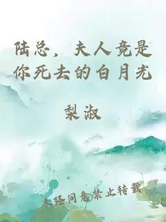 陸總，夫人竟是你死去的白月光