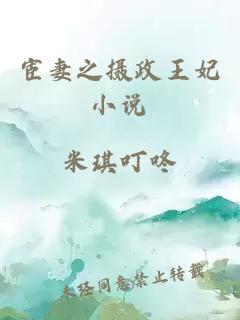 宦妻之?dāng)z政王妃小說(shuō)