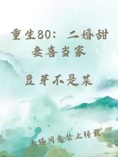 重生80：二婚甜妻喜當家