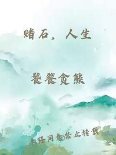 賭石，人生