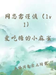 網(wǎng)戀需謹(jǐn)慎（1v1）